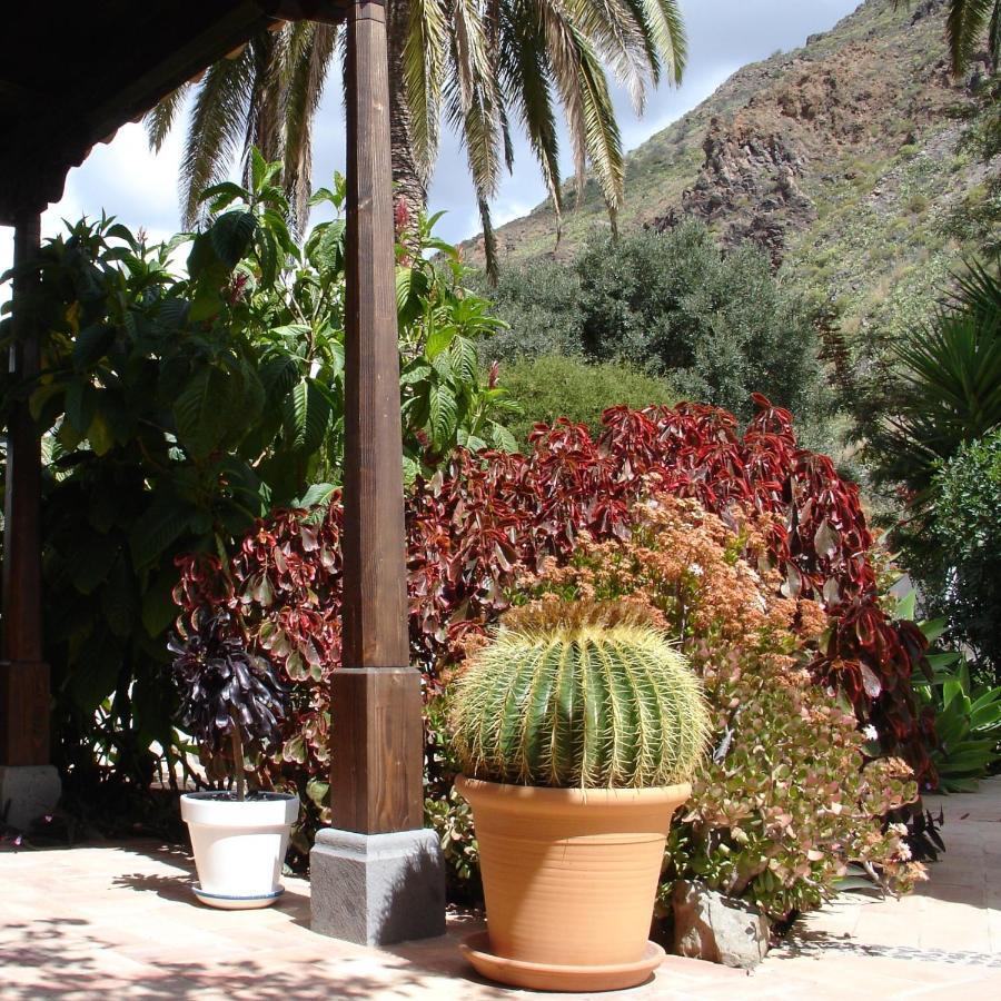 Casa Rural Palomar - Men Only (Adults Only) Otel Fátaga Dış mekan fotoğraf